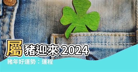 2024 豬 年 運程